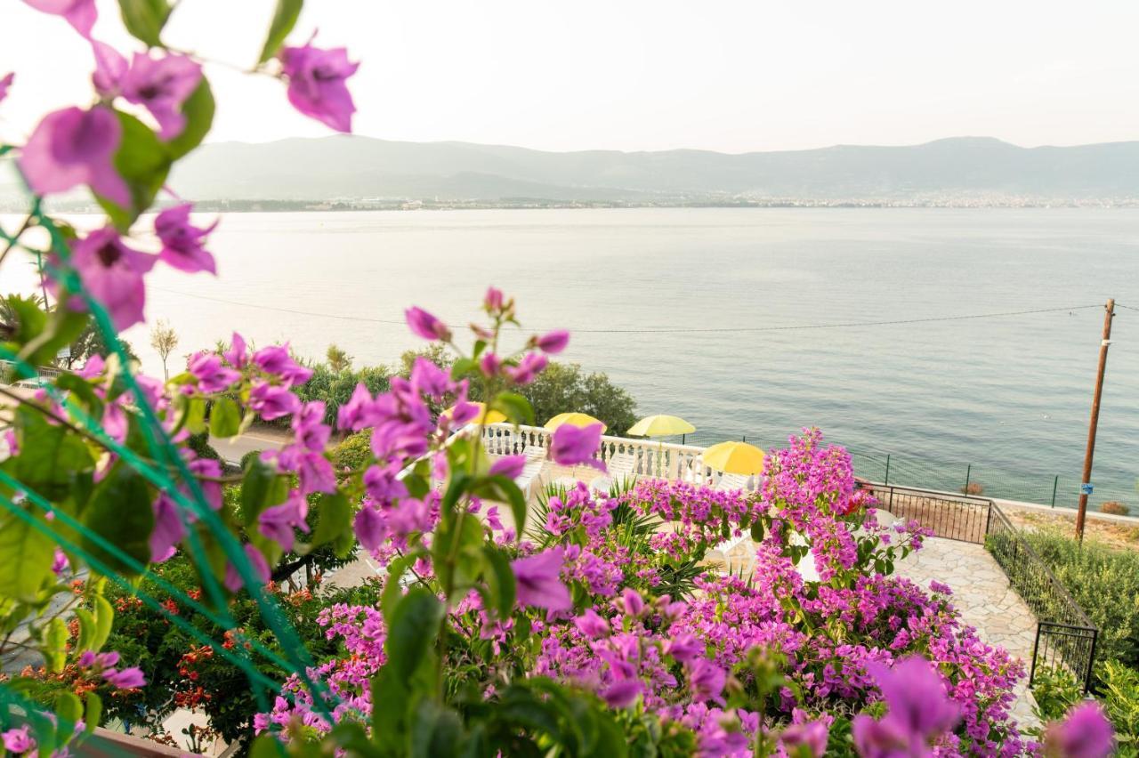 Villa Fjaba - By The Sea - With The Big Terraces & Great Sea View تروغير المظهر الخارجي الصورة